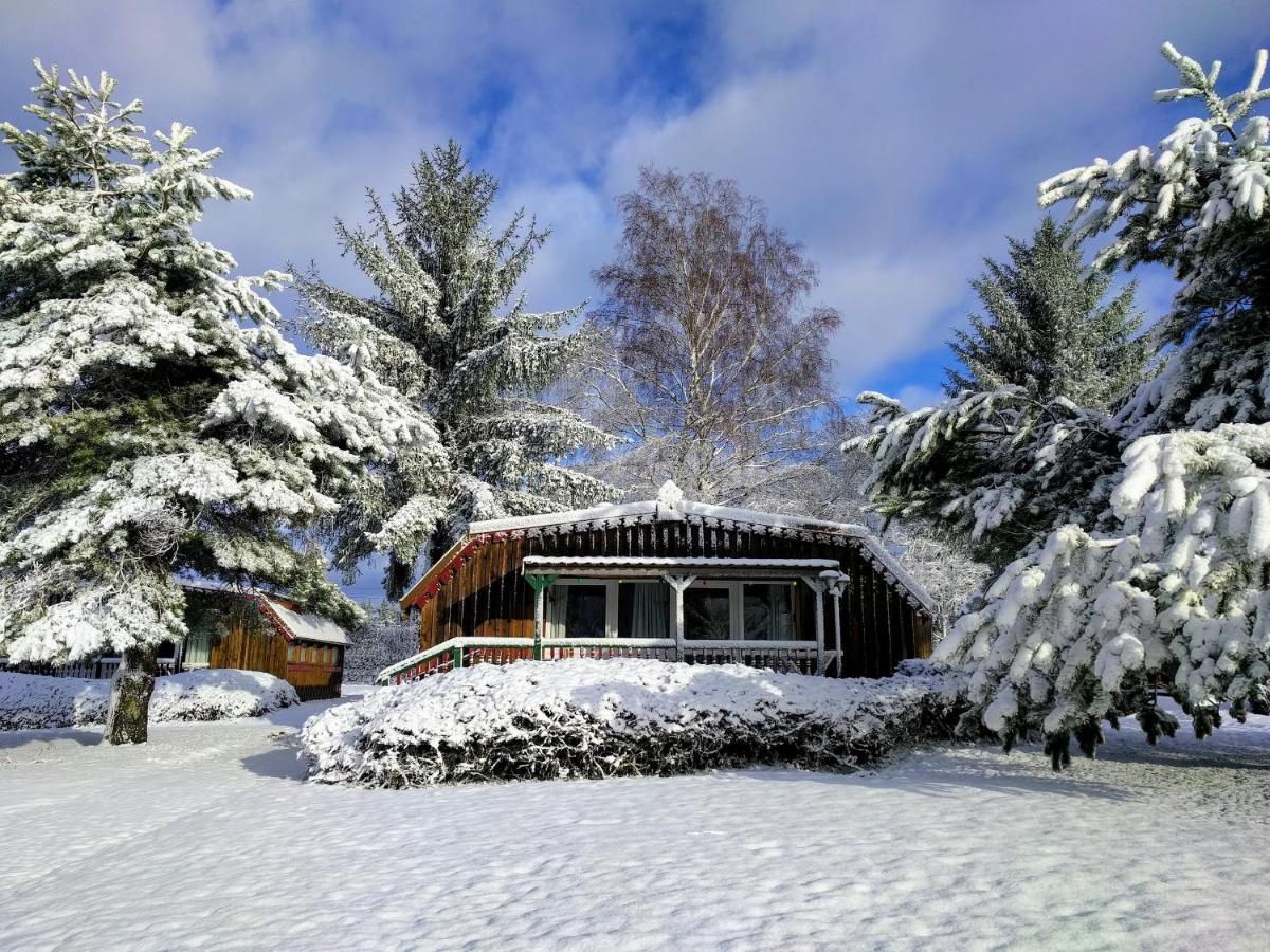 Chalets Des Trois Hetres Пломбьер-ле-Бен Экстерьер фото