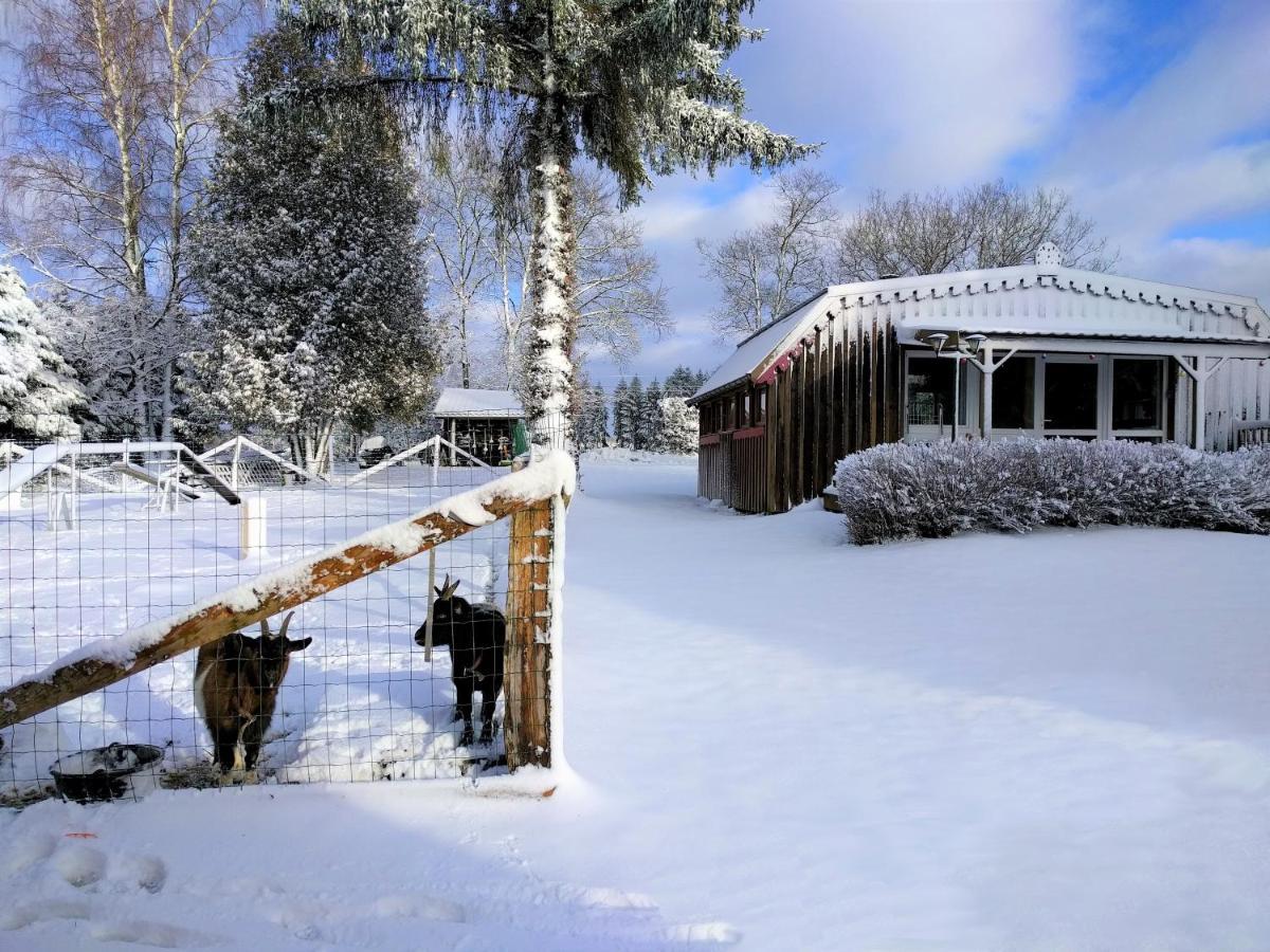 Chalets Des Trois Hetres Пломбьер-ле-Бен Экстерьер фото